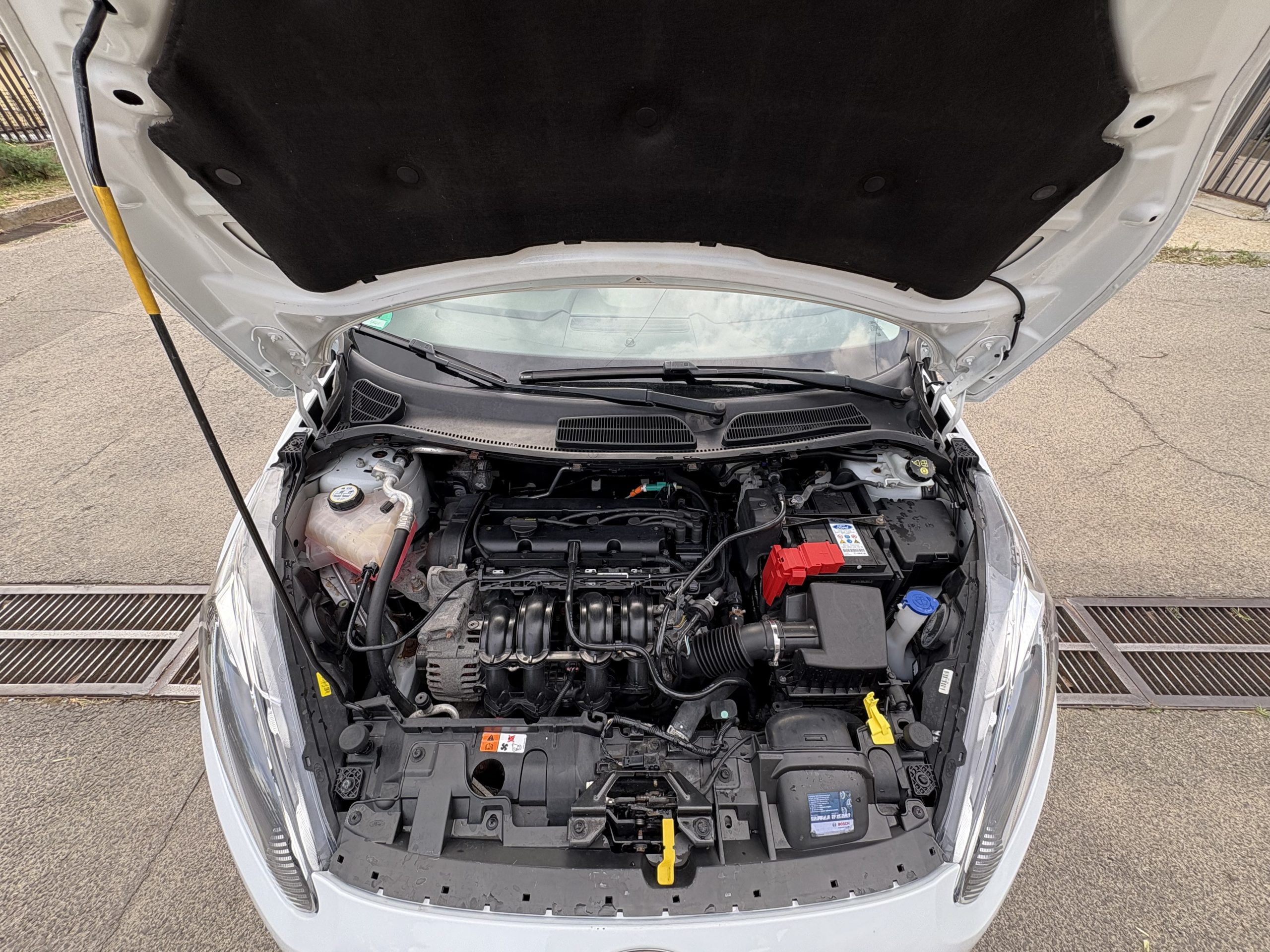 
								Ford Fiesta full									